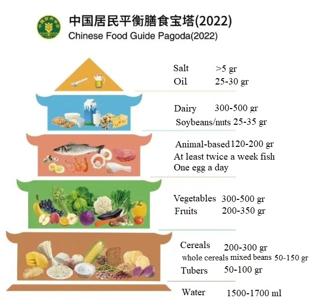 government food pyramid 2022